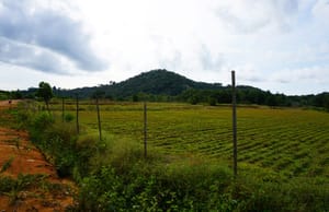 Bukit Langkap: A Modest Hill With a Splendid View