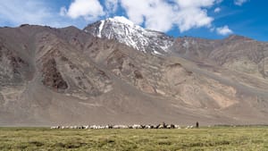 Finding My Way Back to Ladakh-and to Myself