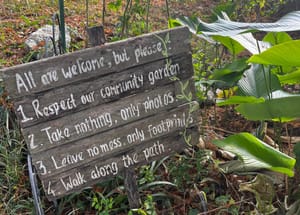 Farms of the Future Are Emerging from Penang