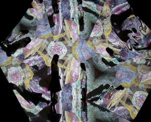 Art As An Inclusive Force