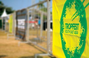 A Worthy Dozen at the Esplanade