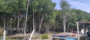 Enjoying the Brackish Rivers of Seberang Perai Selatan