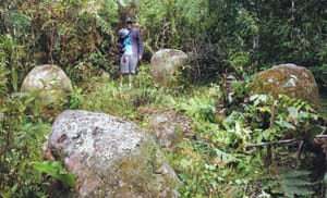 No fetish for heritage here, and yet…