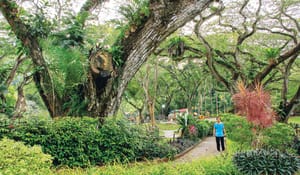 Penang’s Youth Park: Malaysia’s First Adventure Playground